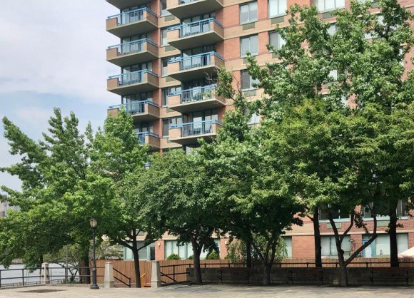 Not just firemen - Manhattan Park pitches in to rescue a kitten... Balconies, 20 River Road, Manhattan Park, high risk for cats...
